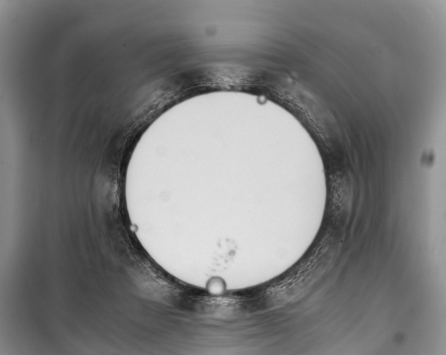 X0000100770313200806261550