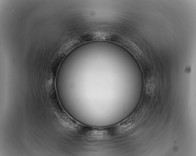 X0000100770314200806261550