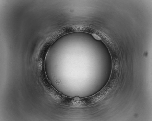 X0000100770315200806261550
