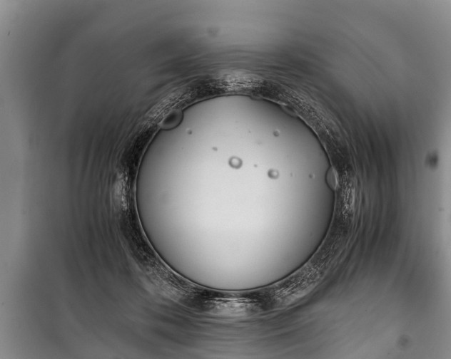 X0000100770316200806261550