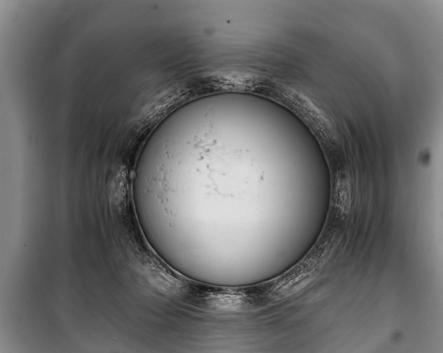X0000100770318200806261550