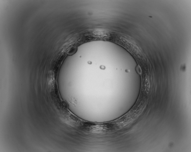 X0000100770320200806261550