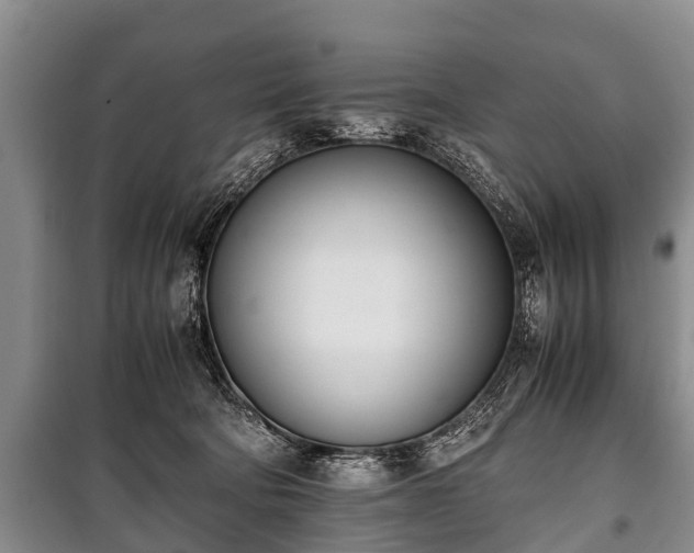 X0000100770322200806261550