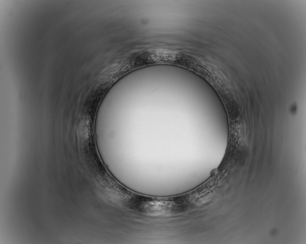 X0000100770323200806261550