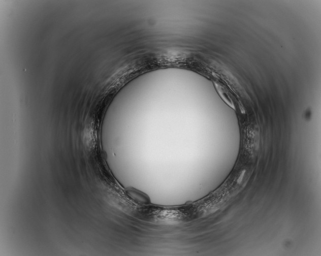 X0000100770324200806261550