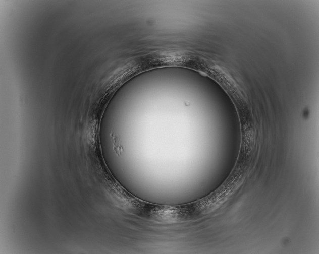X0000100770325200806261550