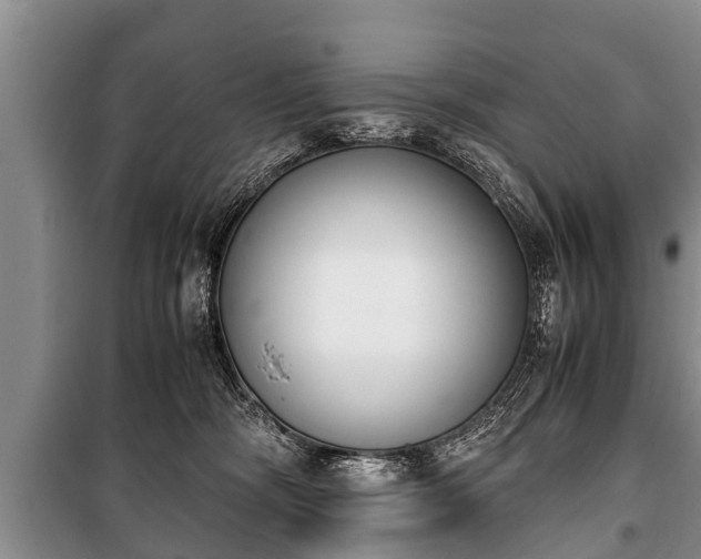 X0000100770326200806261550