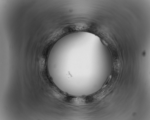 X0000100770327200806261550