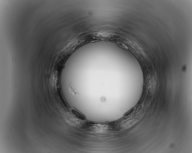 X0000100770328200806261550