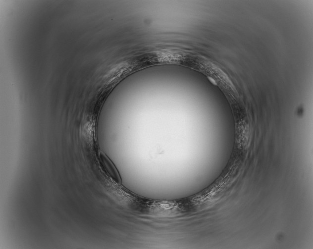 X0000100770329200806261550