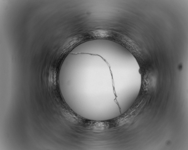 X0000100770330200806261550