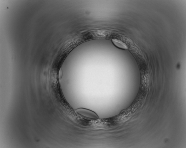 X0000100770331200806261550