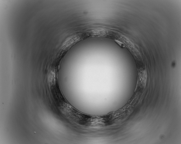 X0000100770333200806261549