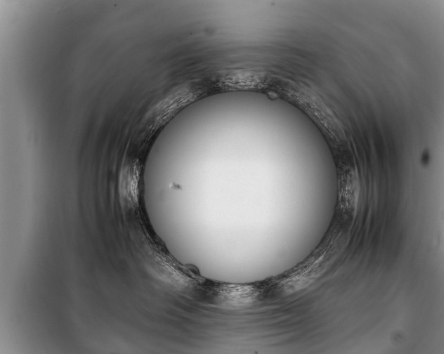 X0000100770334200806261549
