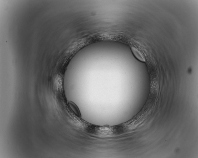 X0000100770335200806261549