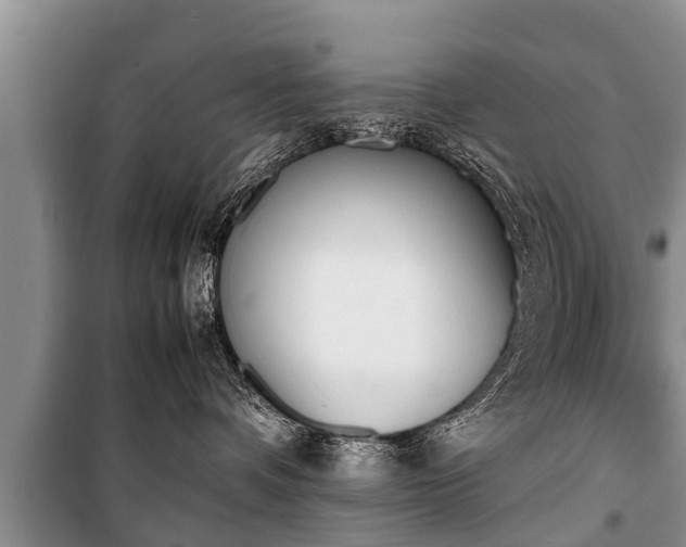 X0000100770336200806261549