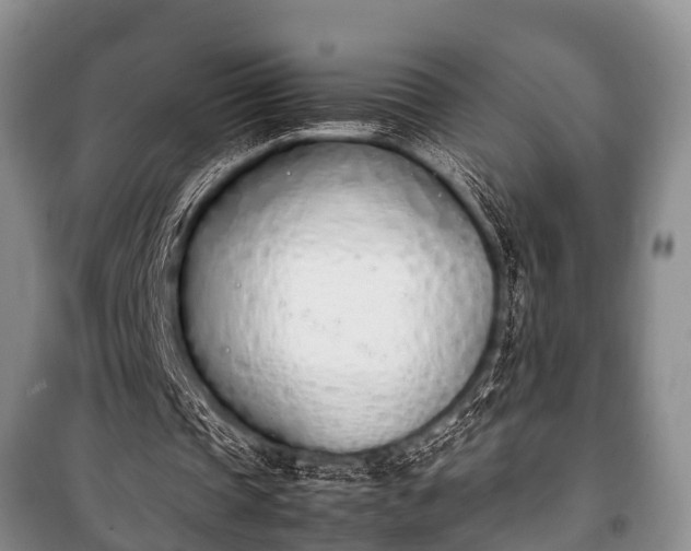 X0000100770337200806261549
