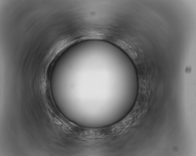 X0000100770338200806261549
