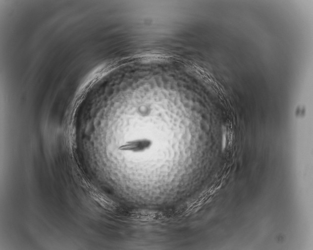 X0000100770339200806261549