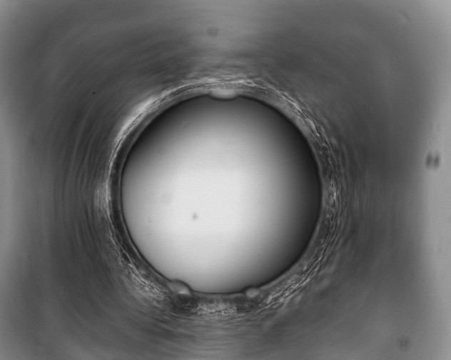 X0000100770340200806261549