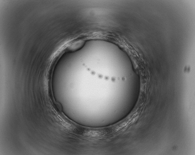 X0000100770341200806261549