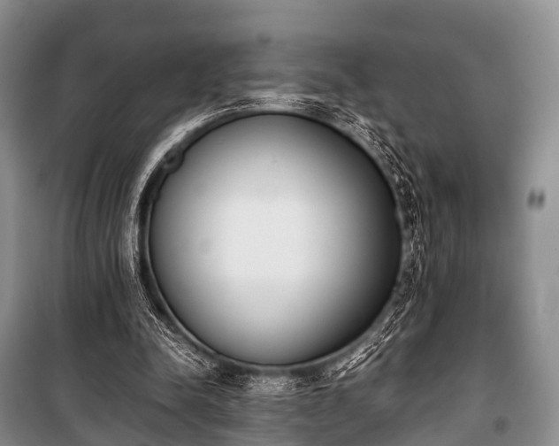 X0000100770342200806261549