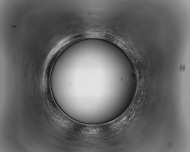 X0000100770343200806261549