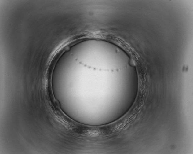 X0000100770344200806261549