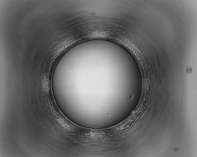 X0000100770345200806261549