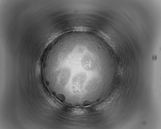 X0000100770347200806261549