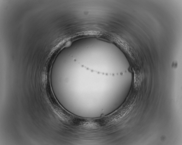 X0000100770348200806261549
