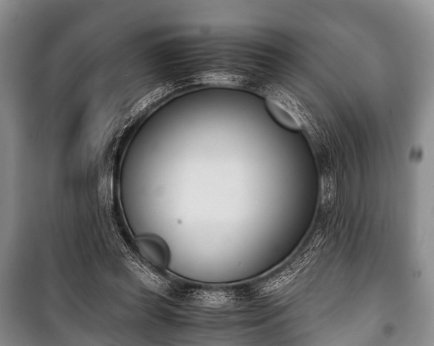 X0000100770349200806261549