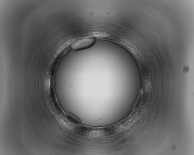 X0000100770350200806261549
