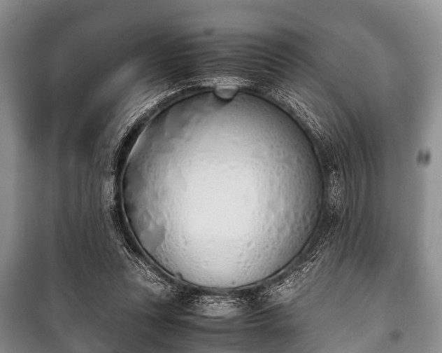 X0000100770351200806261549