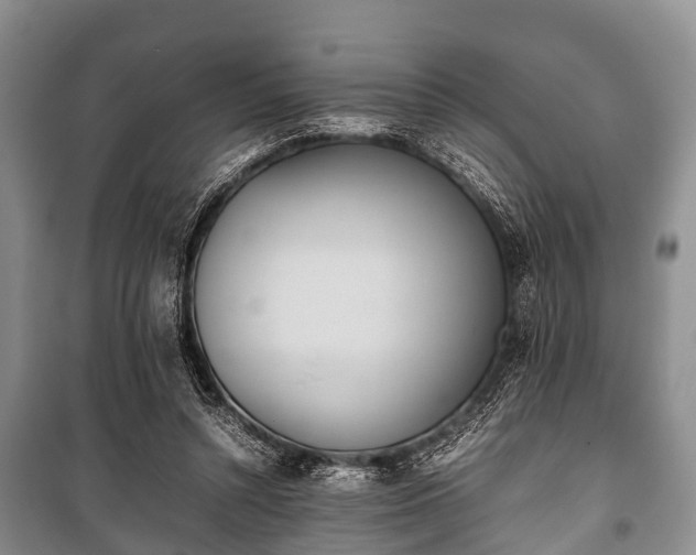 X0000100770352200806261549