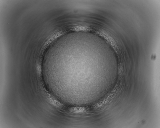 X0000100770353200806261549