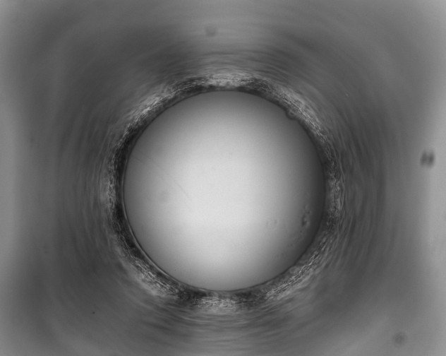 X0000100770354200806261549