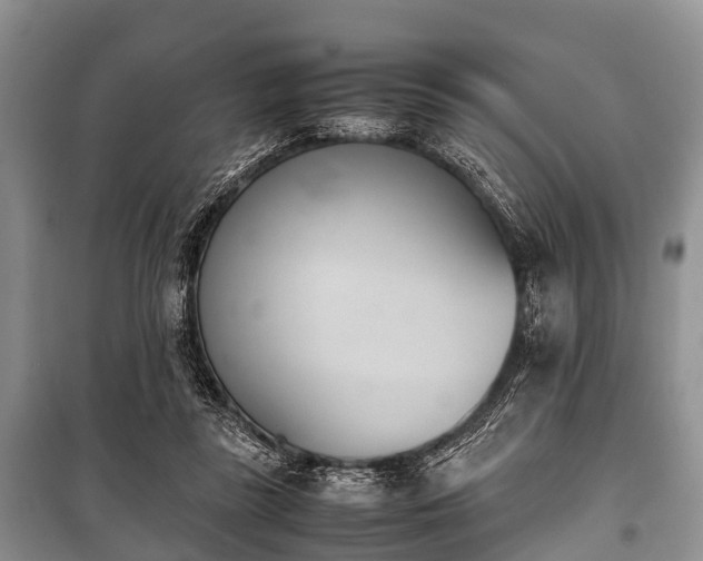 X0000100770355200806261549