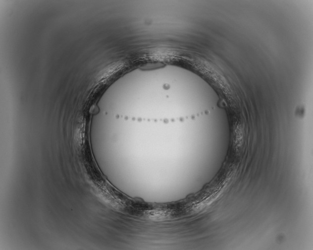 X0000100770356200806261549