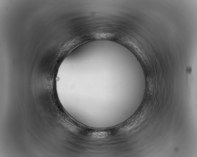 X0000100770357200806261549