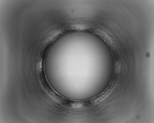 X0000100770358200806261549