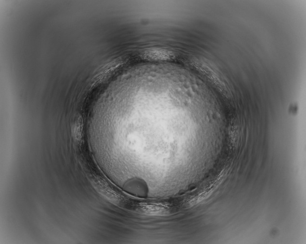 X0000100770359200806261549