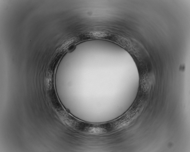 X0000100770360200806261549