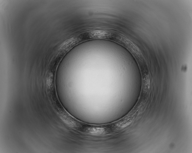 X0000100770361200806261549