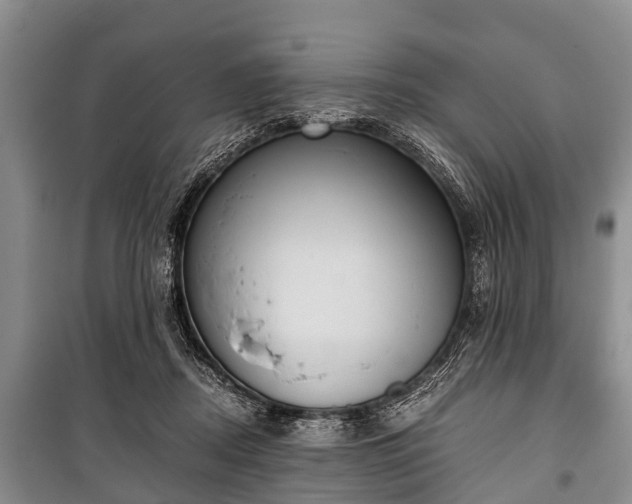 X0000100770362200806261549