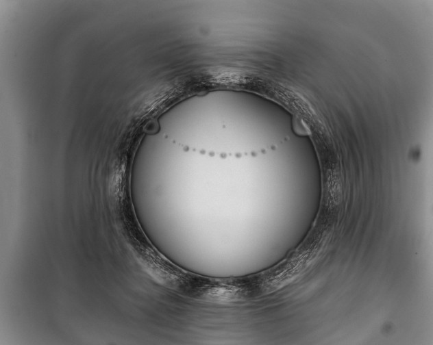 X0000100770364200806261549