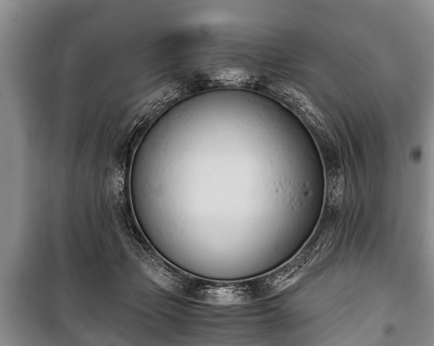 X0000100770365200806261549