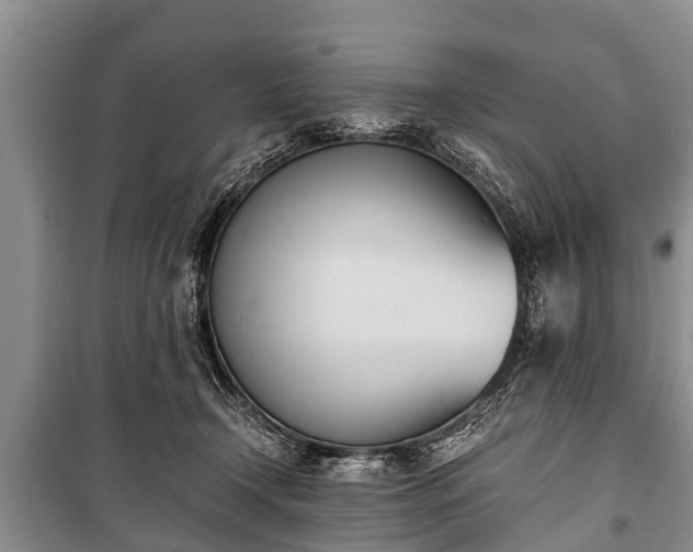 X0000100770366200806261549