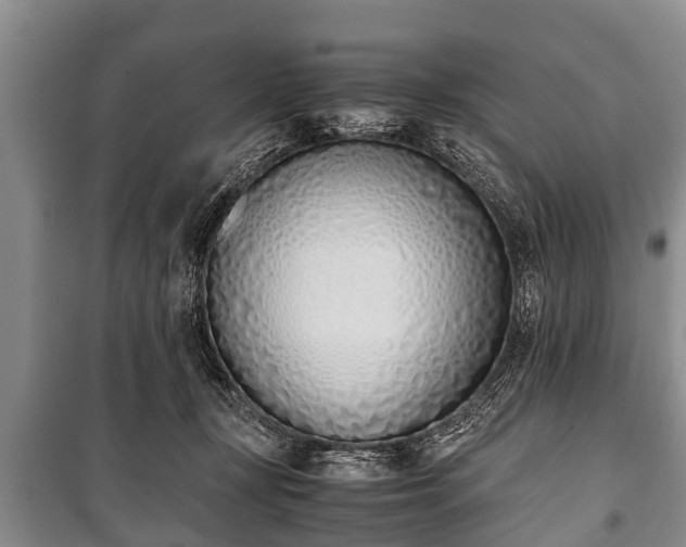 X0000100770367200806261549