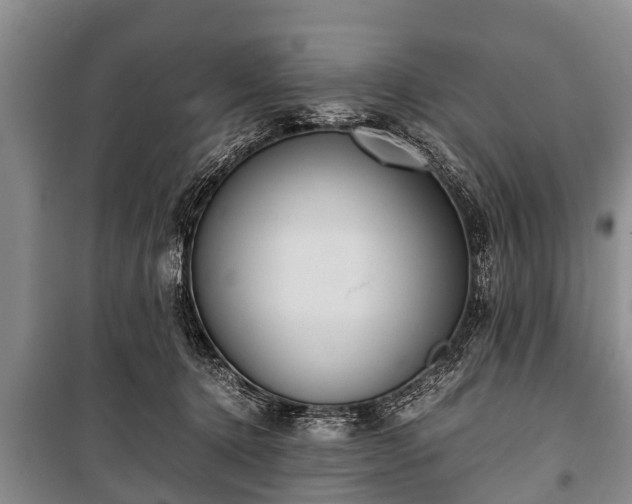X0000100770368200806261549